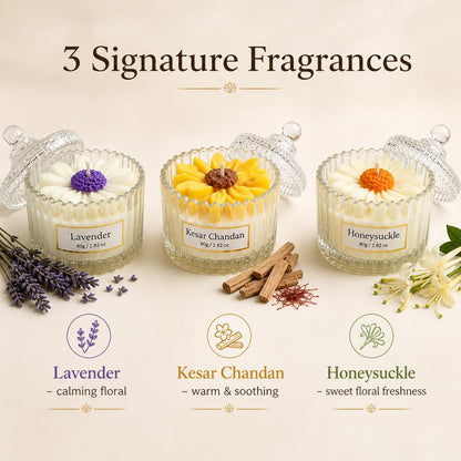 Scented Candles Gift Set of 3 | Lavender, Sandalwood & Honeysuckle | 3x80g Jar Candle | Fragrance Candles for Home Decor | Birthday Anniversary Gifting Hamper | Aromatherapy (Pack of 3)