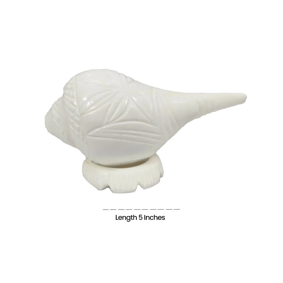 Tranquil Sound Shankh