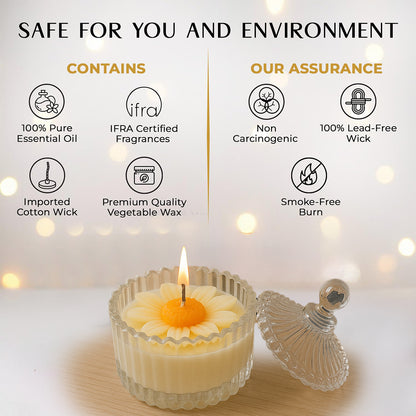 Royal Daisy Scented Candle - Images Containing Product Features