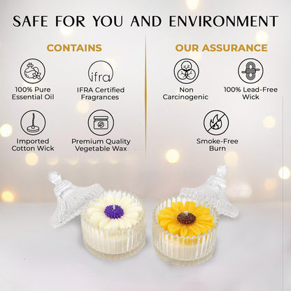Royal Daisy scented candle combo - Image Containing Product Features
