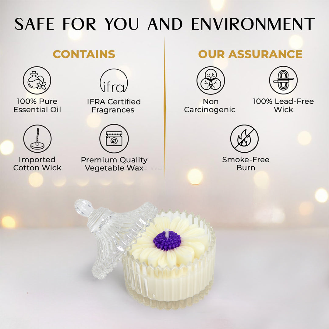 Royal Daisy Scented Candle - Image Containing Product Features