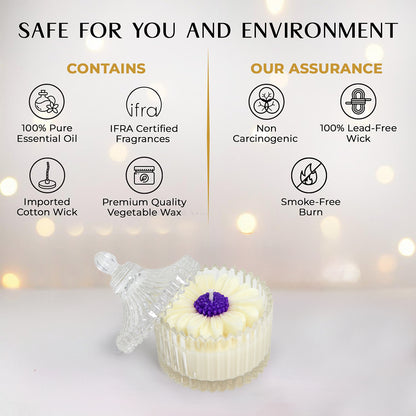 Royal Daisy Scented Candle - Image Containing Product Features
