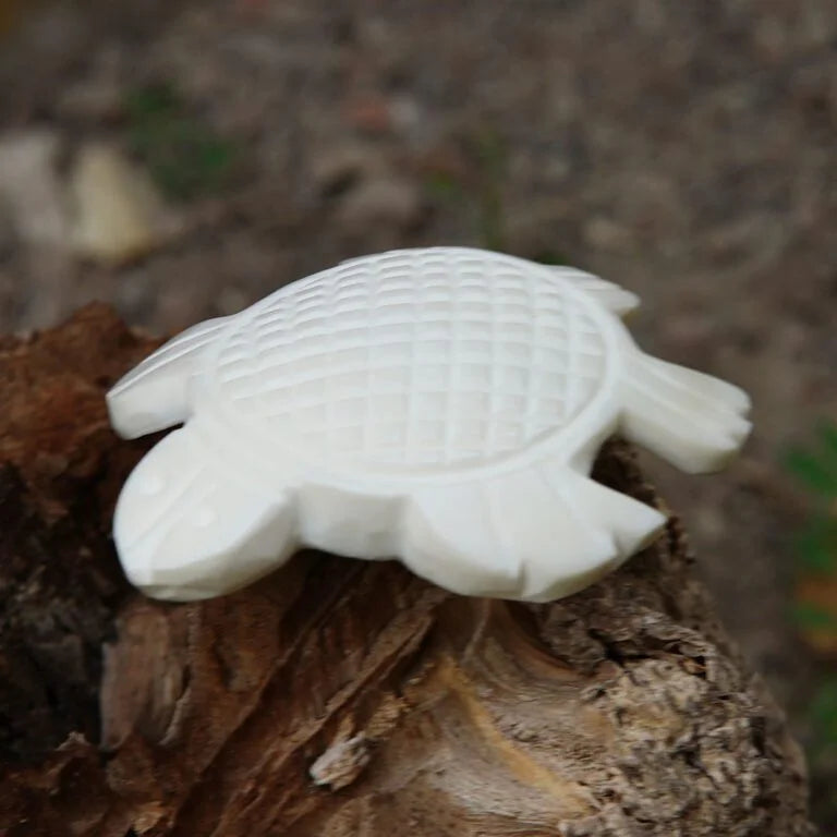 Kurma Shankh