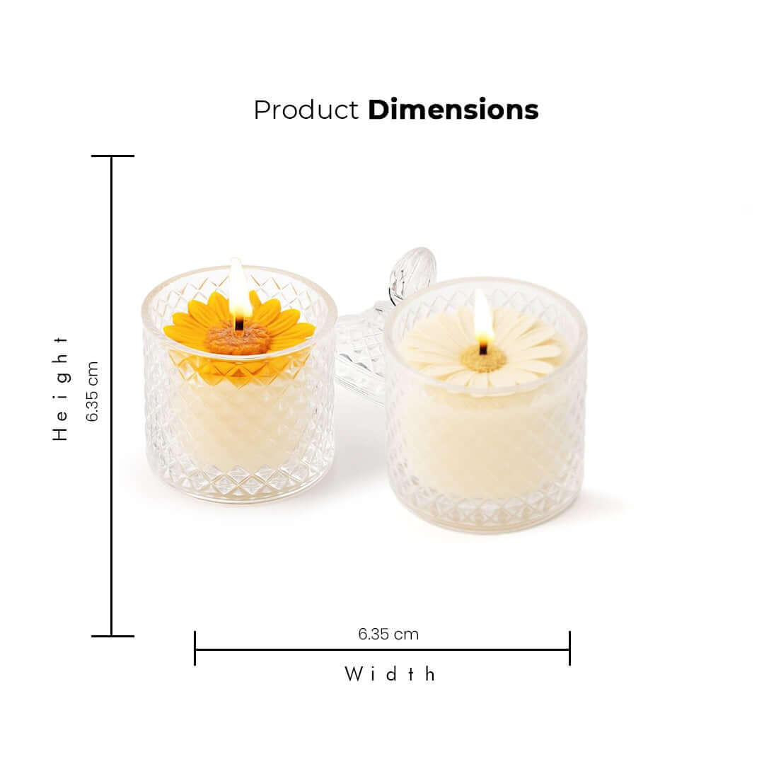 Glowing Petal scented candle combo - Product Dimensions of Glowing Petal scented candle combo